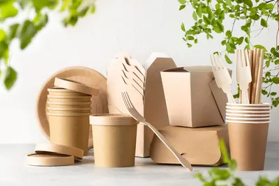 Paper Cups And Disposable Paper Cup