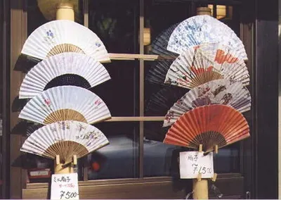Non Folding Hand Fan