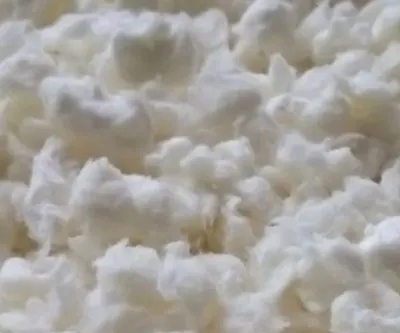 Organic Raw Cotton