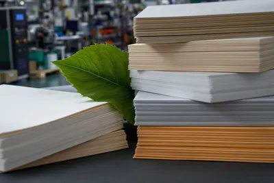 Desktop publishing (dtp)