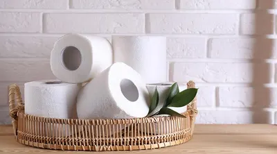 BAMBOO TOILET TISSUE - Image 4