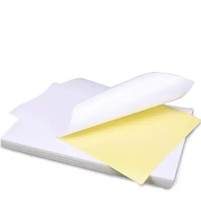 Blotting Papers