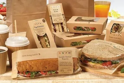 Sandwich Box by Fibona Exim