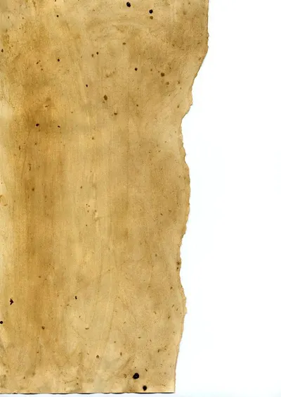 Hard maple by Catskill Timber Industries, Inc.