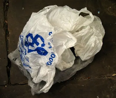 Biodegradable plastic bag