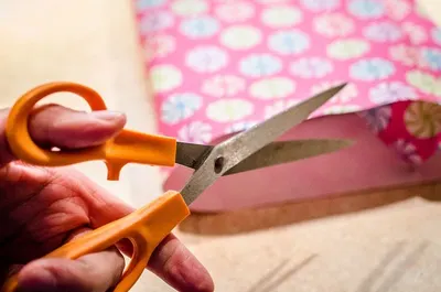 Nail Scissors With A File