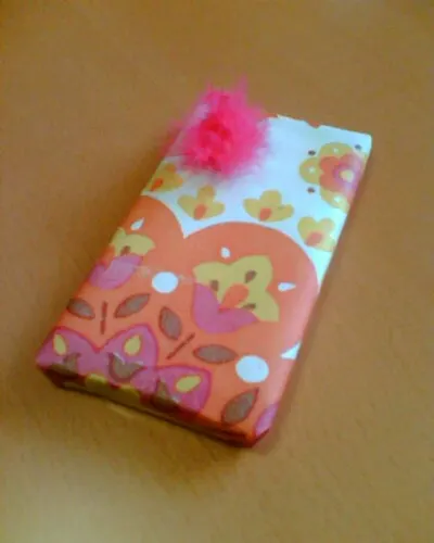 Iphone5 case