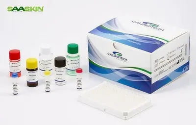 Covid 19 Test Kit by All Ferro Building Materials Llc.