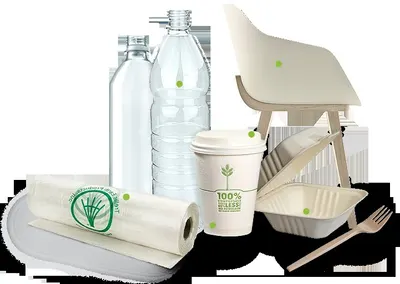 Pla compostable tableware