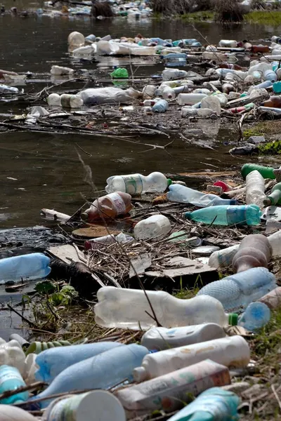 Plastic Bags