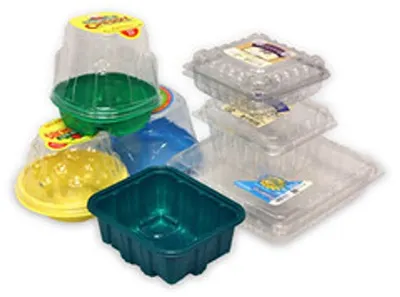 Supermarket Fruit Plastic Packaging