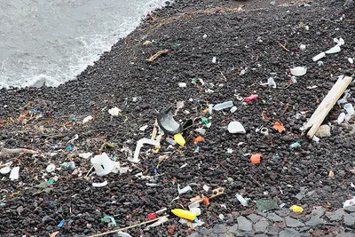 Common plastic