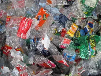Plastic Bottles