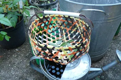 10 basket dump bins