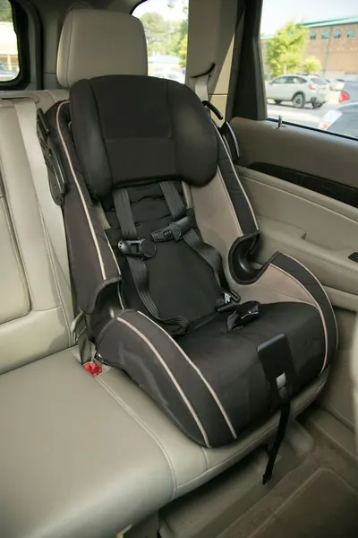 Black Label Car Posture Support Cushion