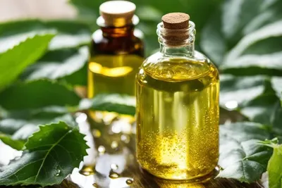 Hair Oil