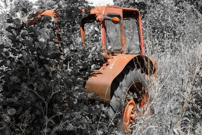 MASSEY FERGUSON