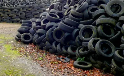 Bus Tires
