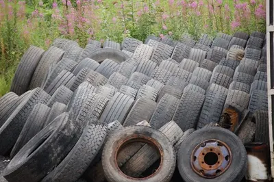 Bus Tire