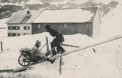 Wheel Barrow