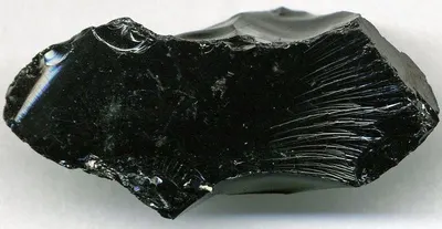 Black Ceramic Bull Dog by Baywalk Venture LLP