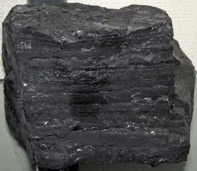 Coal