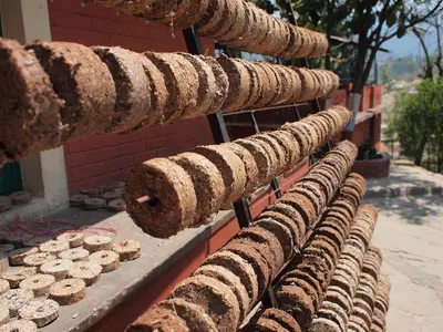 Wood Pellets