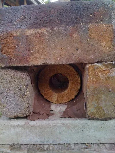Soyabean Shell Briquettes