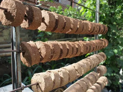 New Olive Charcoal BBQ Briquettes