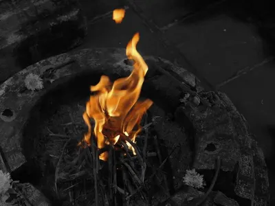 Hardwood Charcoal