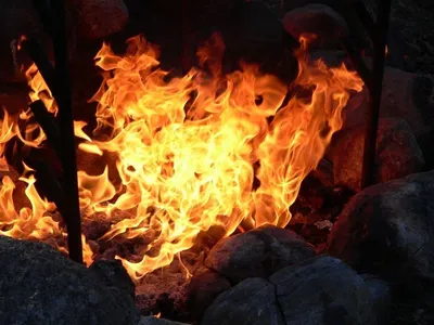 Mangrove Charcoal Briquette
