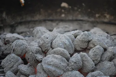 Longan Charcoal