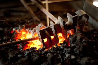 Coal