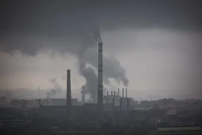 Coal