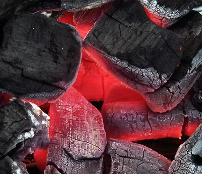 Coal