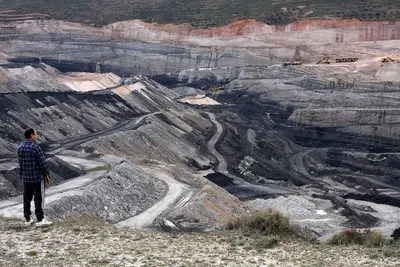 Petroleum Coal