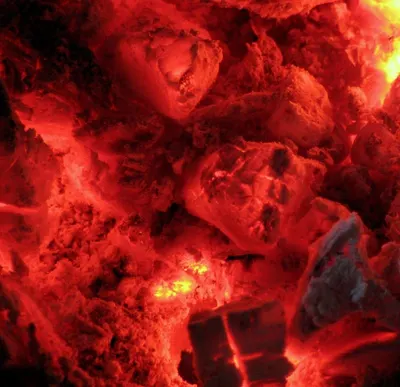 Coal