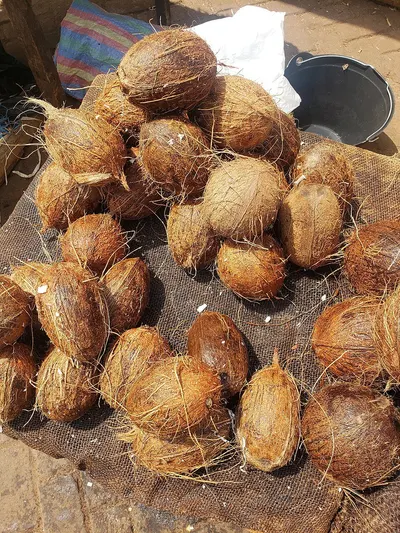 Dried Coconuts by I Do International Ltd.