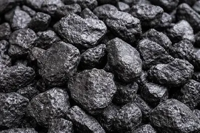 Coal Activated Carbons