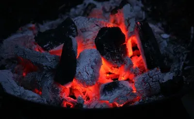 Bbq Charcoal