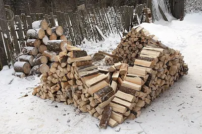 Ash Logs And Lumbers