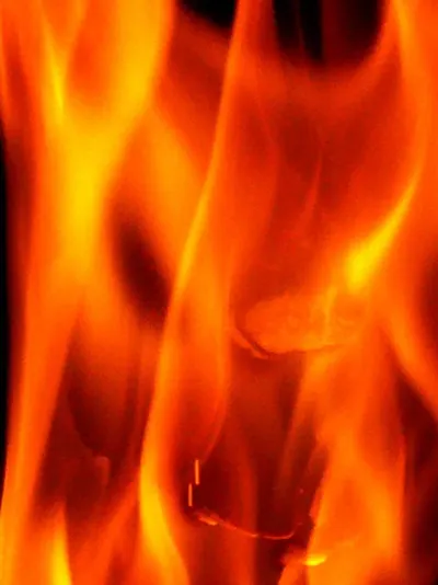 Firewood by Wood4ex