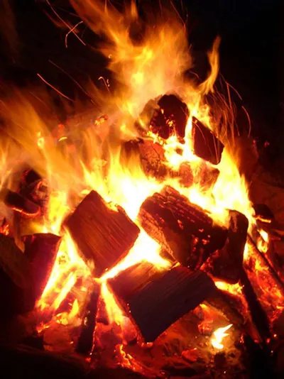 Rice Husk Firewood by Hang Xanh Company Limited