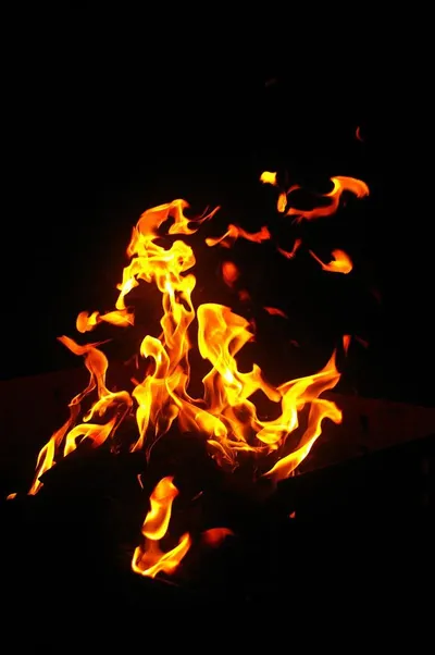 Firer horse