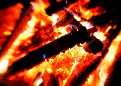 Firewood Logs