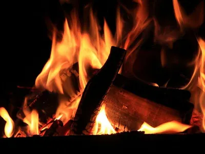 Firewood/ Kiln Dried Logs