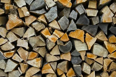 Beech firewood by Drvoprerada