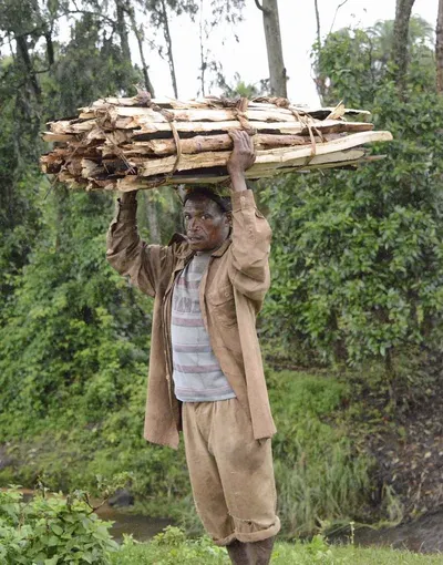 Bengkirai Wood by Nicholas