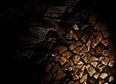 Pine logs