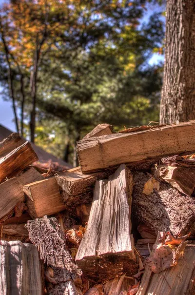 Firewood by Ganak Consultancy